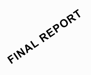 final report